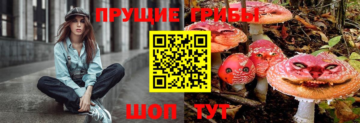 Борисоглебск  продажа наркотиков  Вход с VPN  Псилоцибиновые грибы прущие грибы 